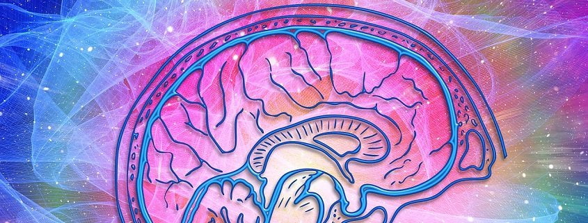 Resonance: Beings of frequency