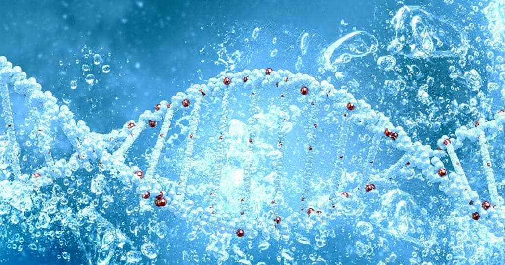 Aufladen von Zellwasser - Exklusionszonenwasser