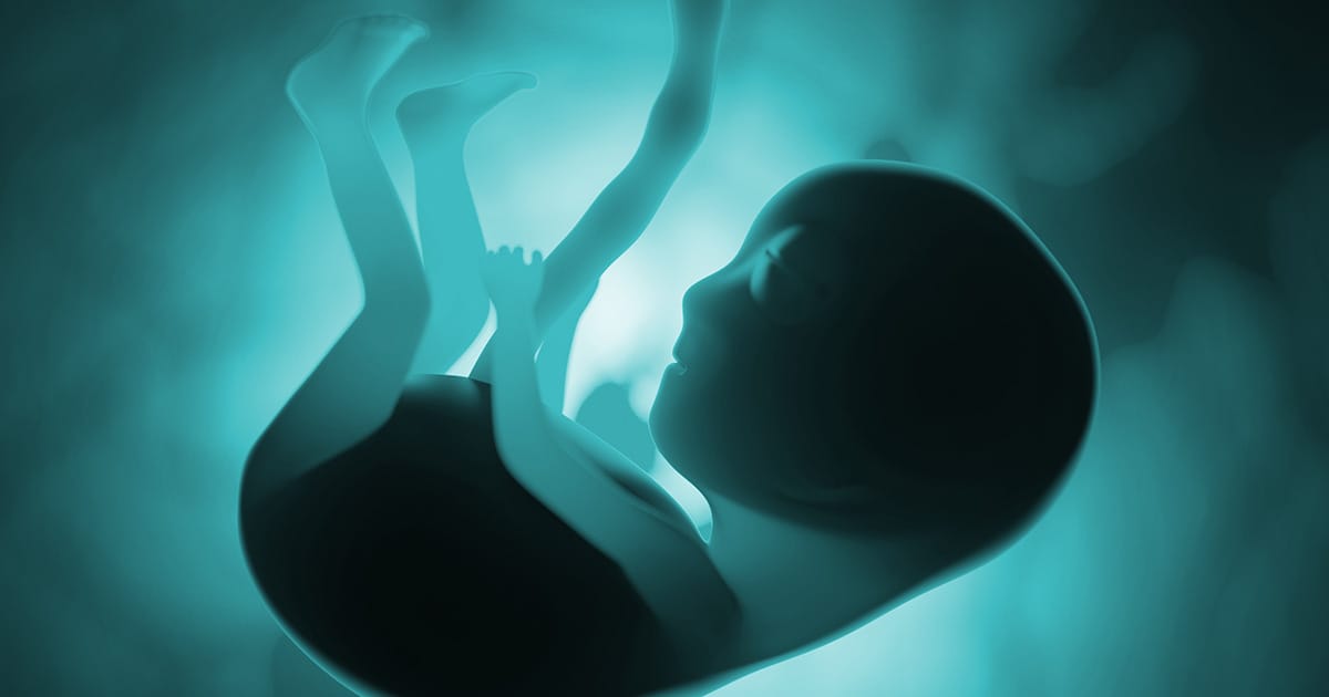 Durch Viren zum Säugetier