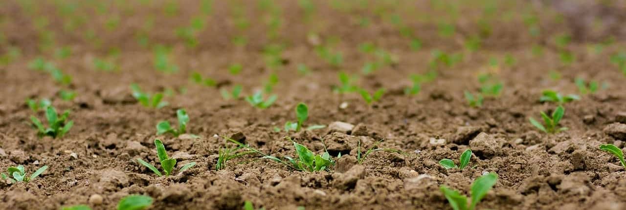 Was ist Carbon-Farming?