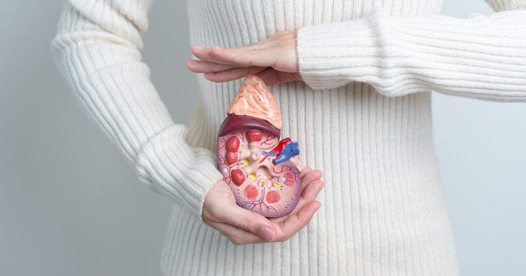 Hilfe für erschöpfte Nebennieren