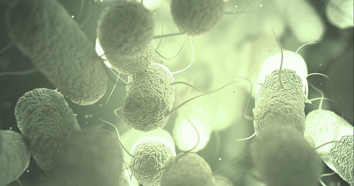 Wie das Mikrobiom entsteht und unsere Gesundheit beeinflusst