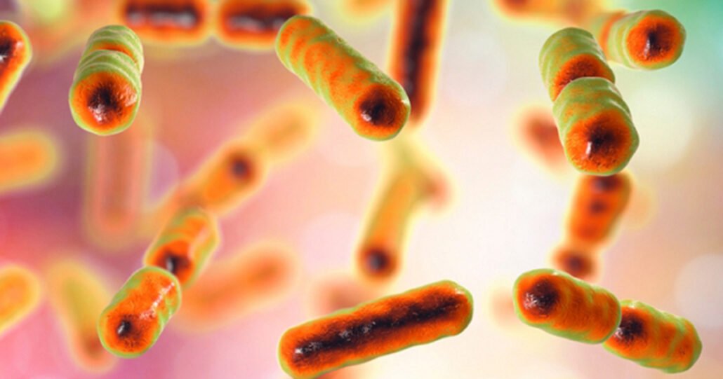 Das gestörte Mikrobiom und sein Einfluss auf die Gesundheit
