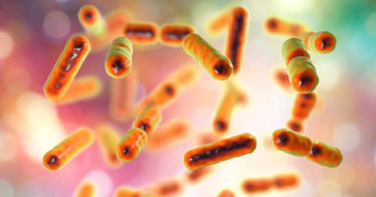 Was ist das Mikrobiom?