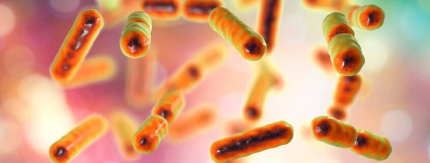 Was ist das Mikrobiom?