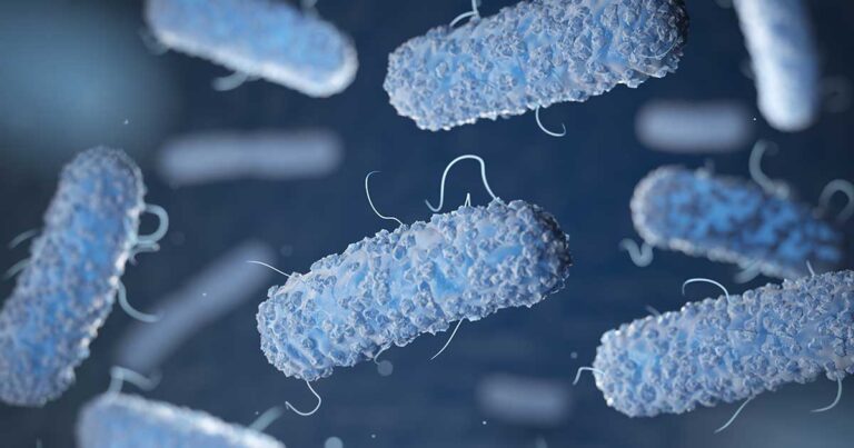 Aufgaben des Mikrobioms