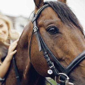 Effektive Technologien zur Unterstützung der Tiergesundheit