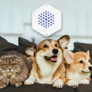 Moderne Lösungen für Tierwohl und Gesundheit