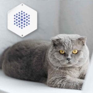 Technologie zur Förderung des Tierwohls