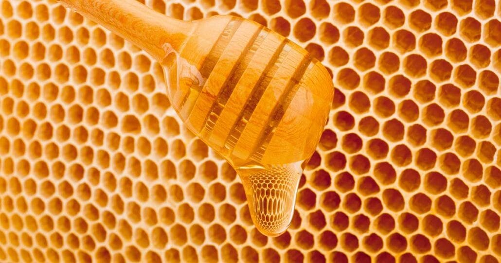 Bio-Honig oder konventioneller? Was Honig wirklich unterscheidet