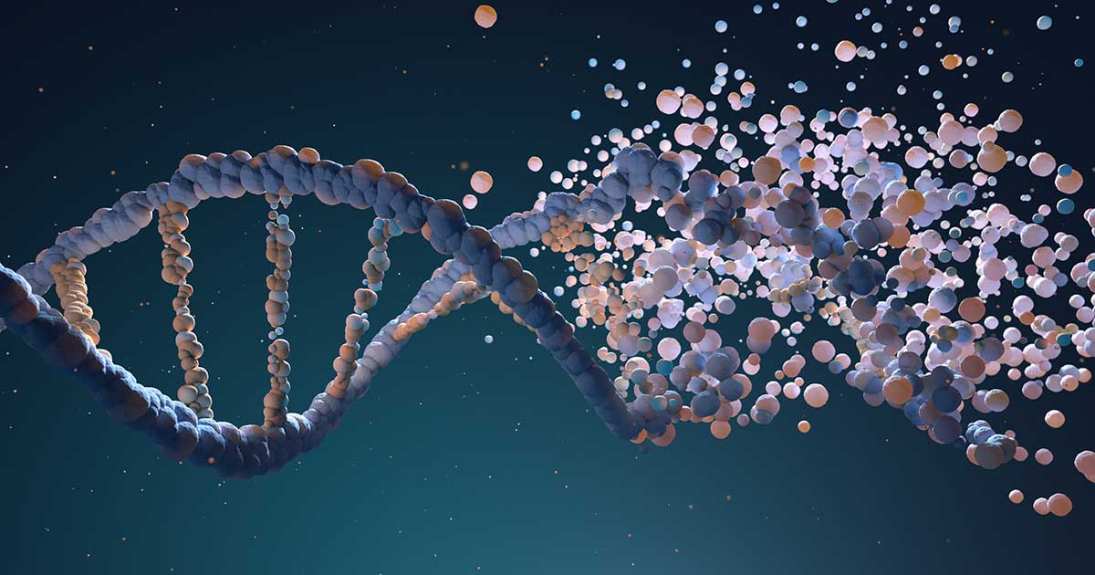 PARP: Wenn Zellen sich selbst reparieren